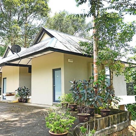 T-Box Sungai Lembing Hotel Екстериор снимка